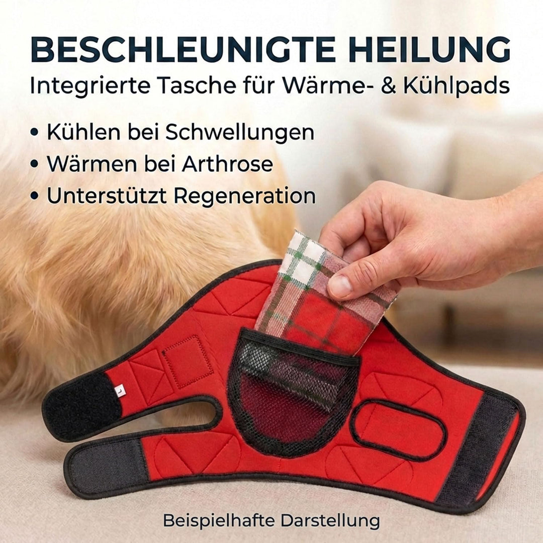 Ellenbogenbandage Hund Neopren 3mm mit Tasche für Kühl-/Wärmepad - Bild 6