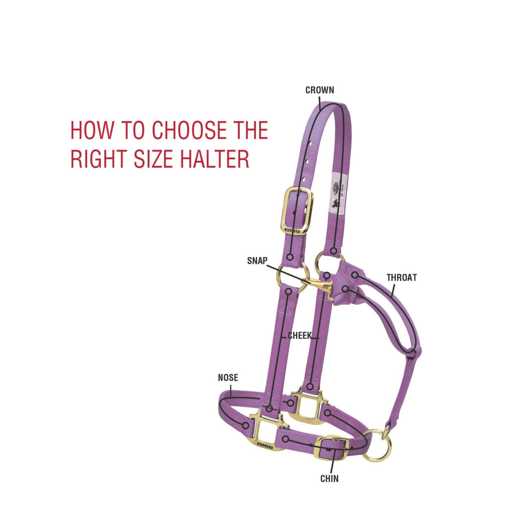 Pferde-Halfter Nylon 3-lagig Messing-Beschläge Grösse Small Lila - Bild 5