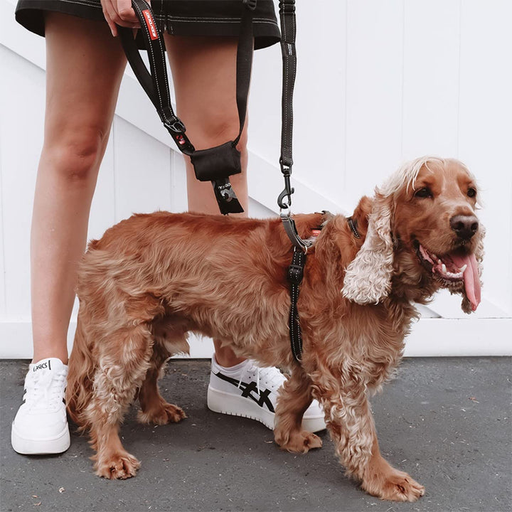 Anti-Zug Hundegeschirr Nylon Grösse L für Hunde bis 80 cm - Bild 9