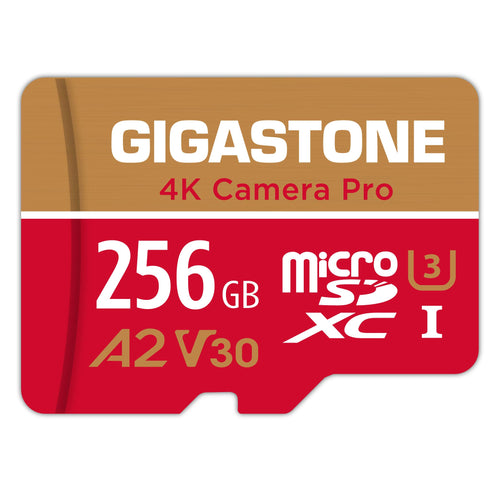 MicroSDXC 256GB A2 V30 UHS-I für Kamera Drohne Switch 4K