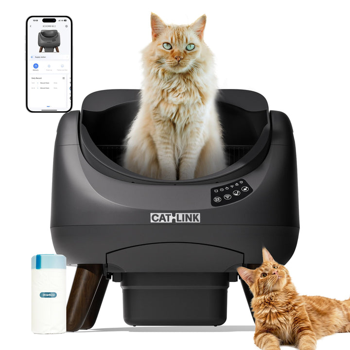 Selbstreinigende Katzentoilette XXL Open-Top 12L mit WLAN-App für Mehrkatzenhaushalt