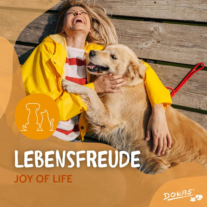 Hundetraining Snack Hühnerbrust luftgetrocknet glutenfrei 9x200g - Bild 7