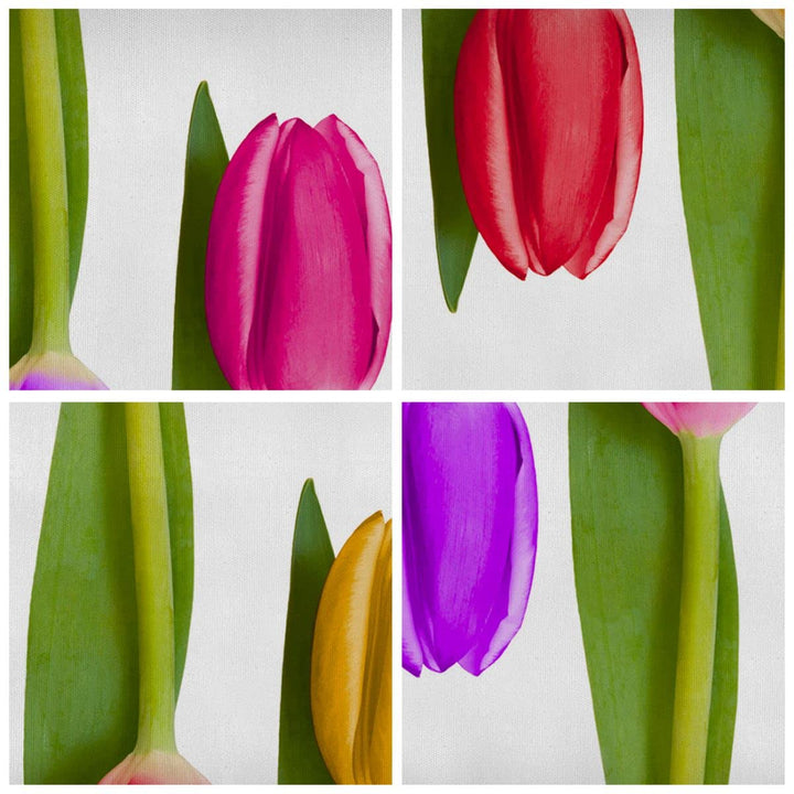 Leinwandbild Botanik Blumen 100x70 cm aufhängefertig - Bild 5