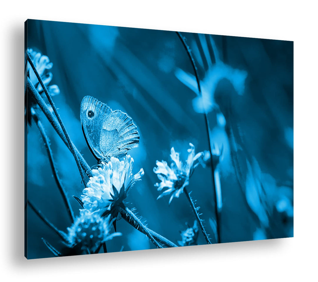Leinwandbild Blumenwiese Monochrom Blau 80x60 cm Echtholzrahmen