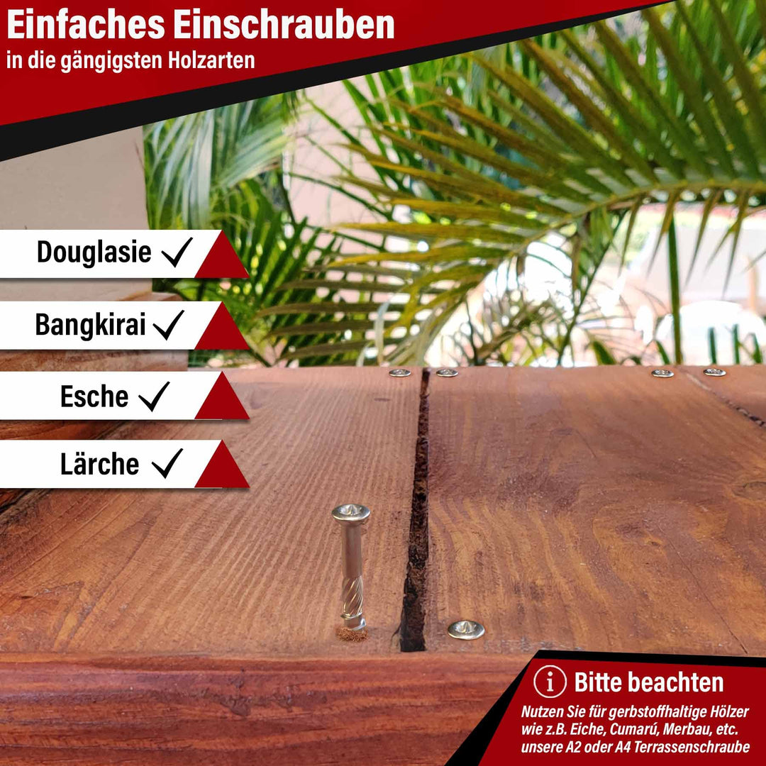 Terrassenschrauben Edelstahl 5x60mm Torx 25 selbstschneidend 500 Stück - Bild 5