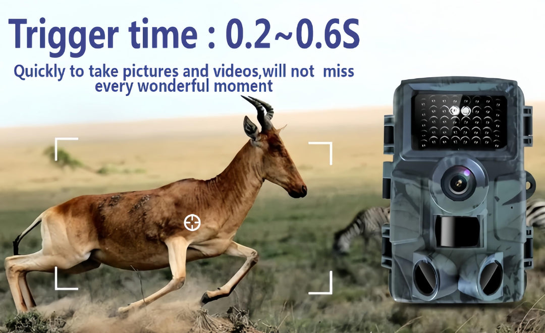 Wildkamera 60 MP 4K mit Nachtsicht 120° Erfassungswinkel IP66