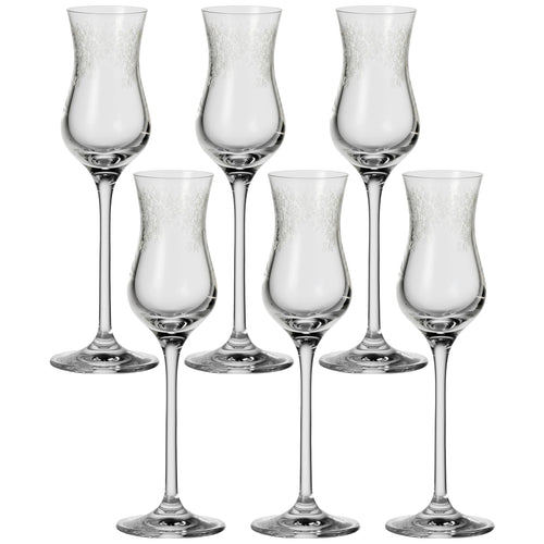 Grappa-Gläser 6er Set mit Stiel Teqton-Glas spülmaschinenfest 9 cl