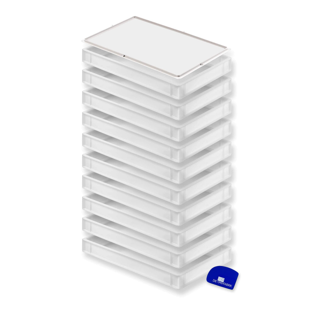 Pizzaballenbox 60x40x7,6 cm PE-HD stapelbar mit Teigschaber