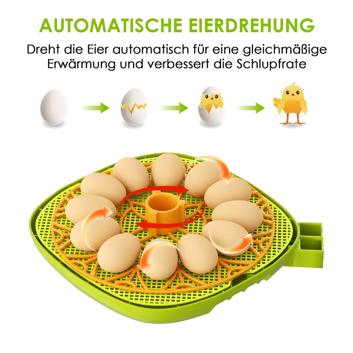 Brutautomat 12 Eier vollautomatisch mit Temperatur- und Feuchtigkeitskontrolle