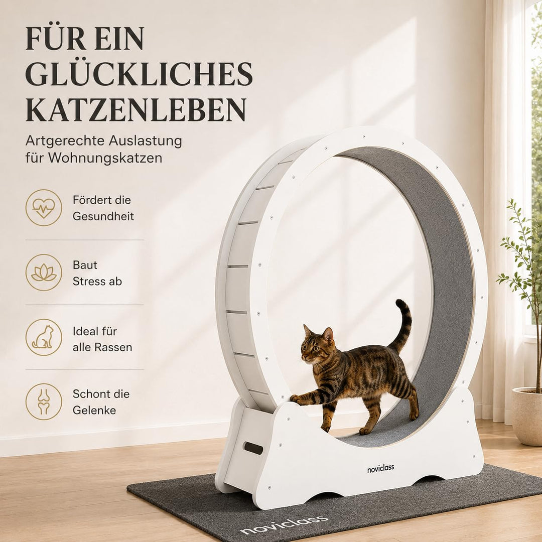 Katzenlaufrad XXL 132 cm Holz mit Teppich Weiss/Grau - Bild 2