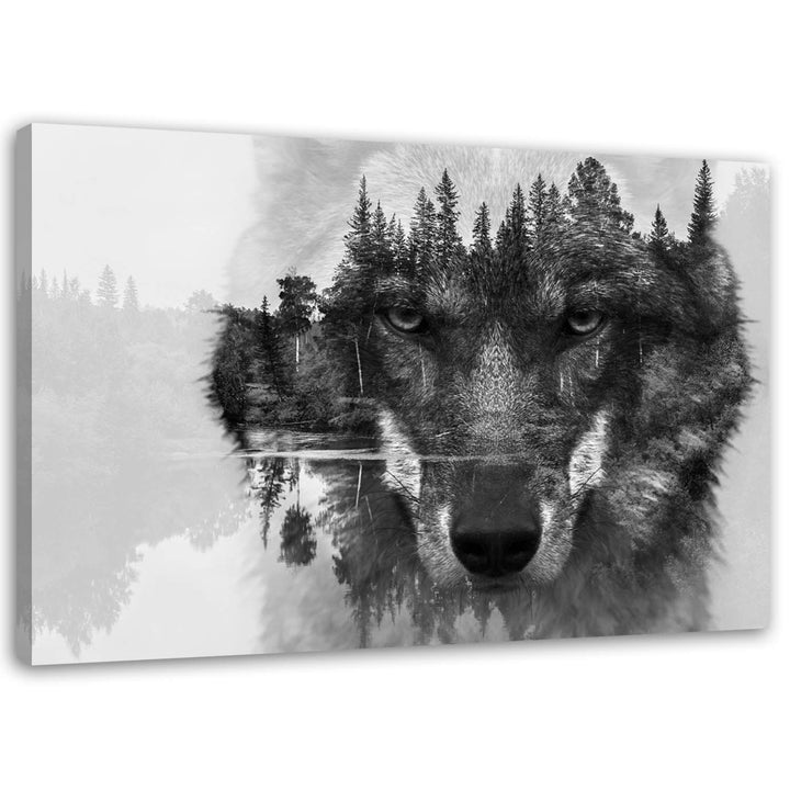 Leinwandbild Wolf im Wald Schwarz-Weiss 120x80 cm aufhängfertig