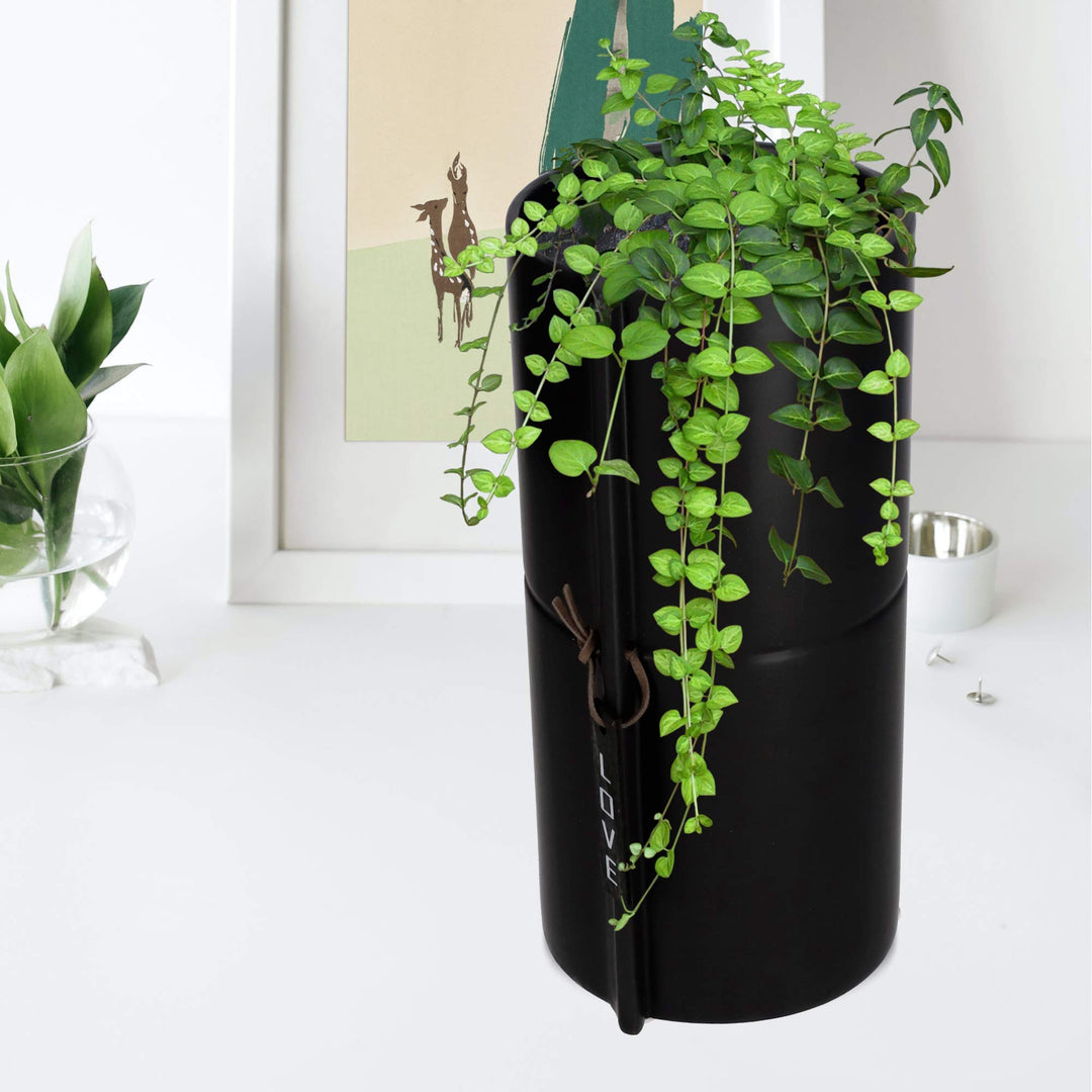 Keramik-Übertopf schwarz 11 cm für Zimmerpflanzen - Bild 9