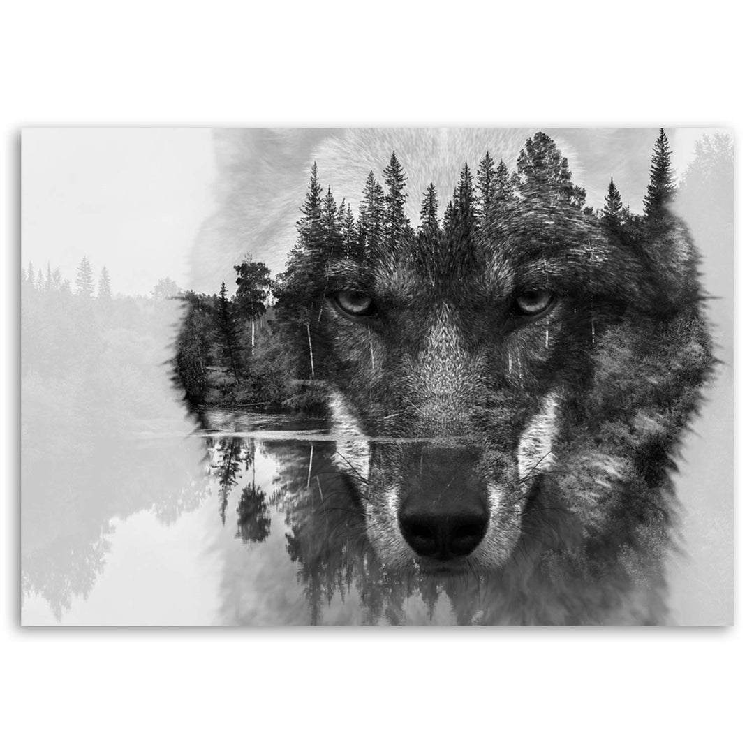 Leinwandbild Wolf im Wald Schwarz-Weiss 120x80 cm aufhängfertig - Bild 5