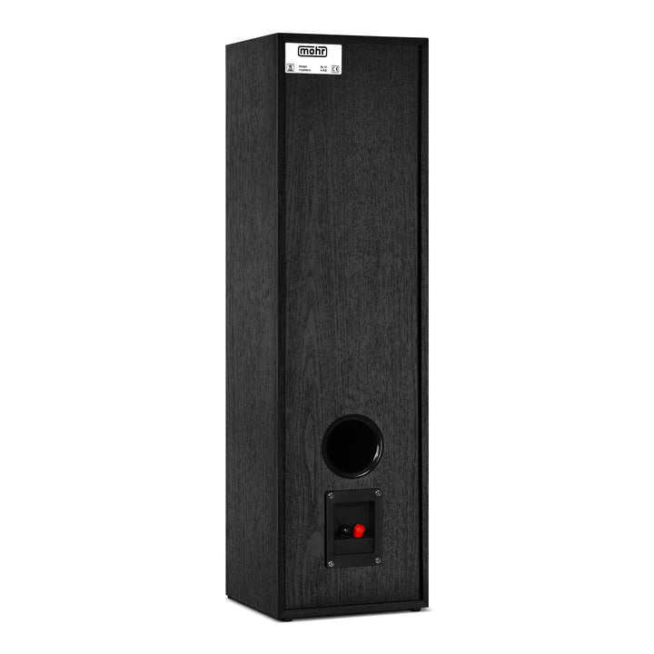 Standlautsprecher 2-Wege HiFi Paar 38Hz–21kHz Bassreflex schwarz - Bild 4