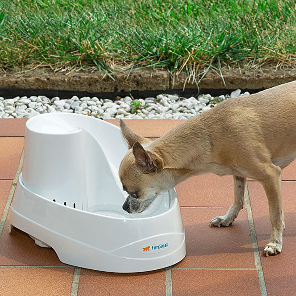 Katzenbrunnen mit Aktivkohlefilter 2 Liter für Katzen und kleine Hunde - Bild 4