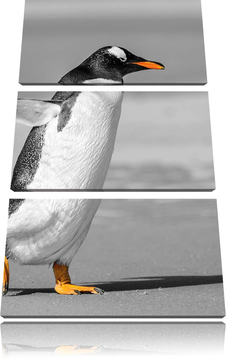 Leinwandbild 3-teilig Pinguin Strand Schwarz-Weiss 120x80cm