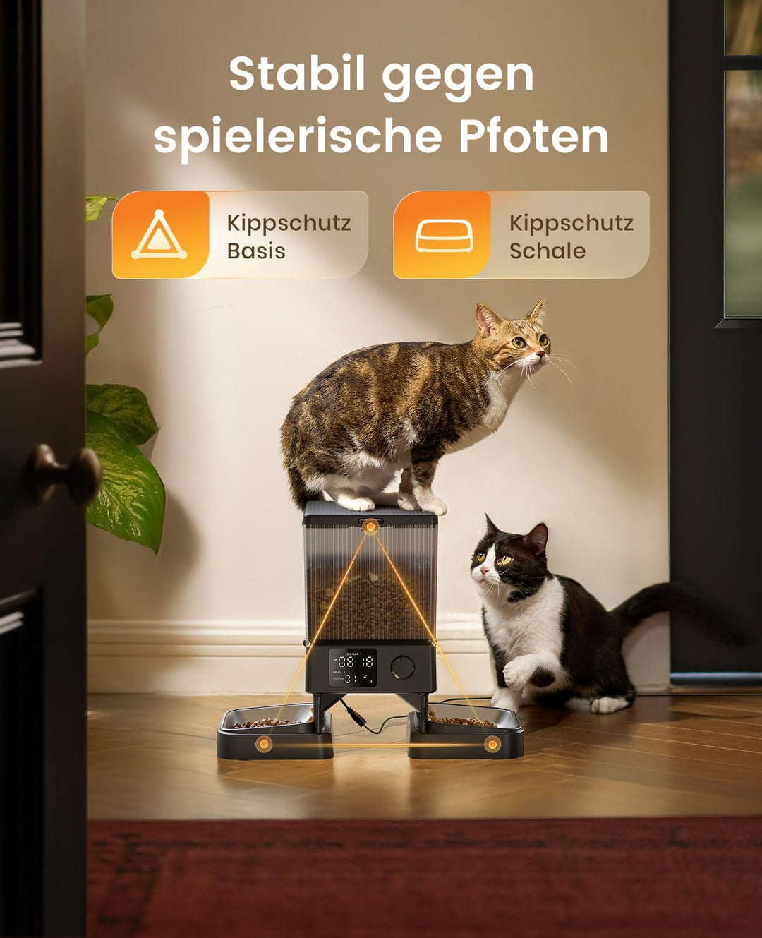 Futterautomat 2 Katzen 5L Trockenfutter mit Sprachaufzeichnung - Bild 5