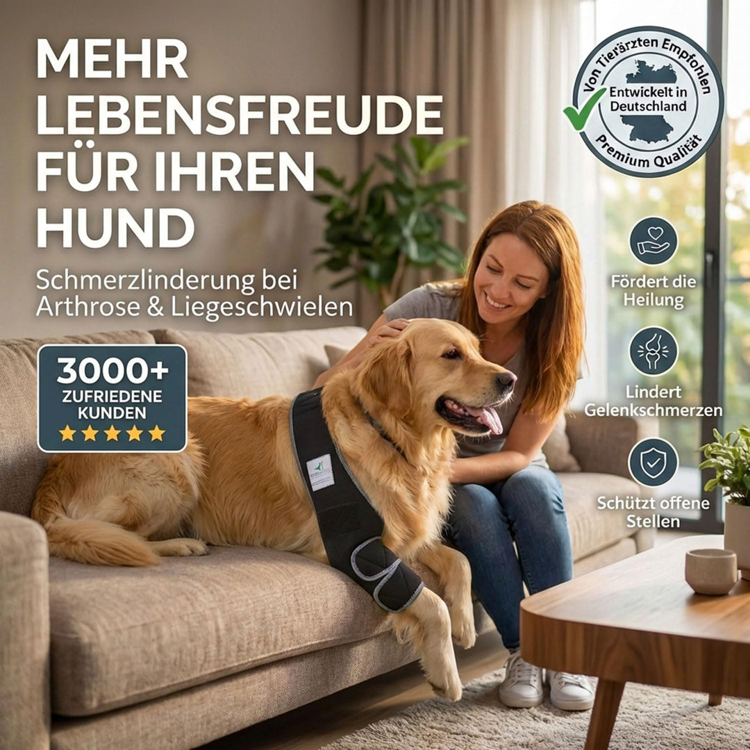 Ellenbogenbandage Hund Neopren 3mm mit Tasche für Kühl-/Wärmepad - Bild 2
