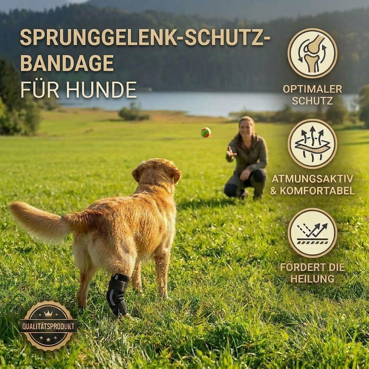 Sprunggelenk Schutzbandage Hund Neopren Hinterbein 135° Winkel XXS - Bild 2