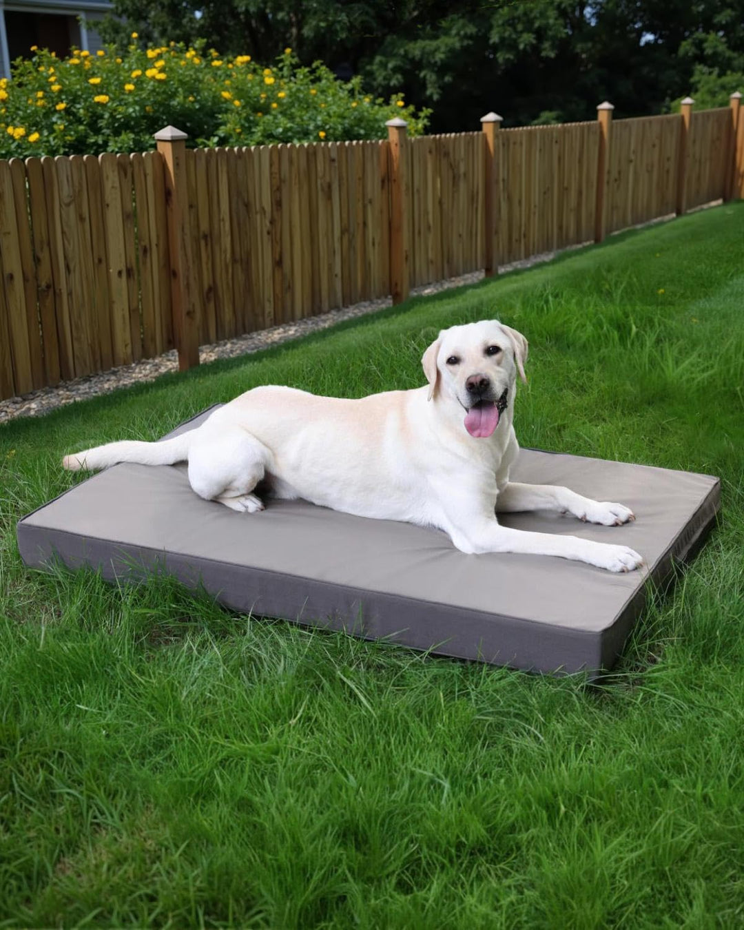 Orthopädisches Hundebett Kunstleder wasserdicht für grosse Hunde - Bild 8
