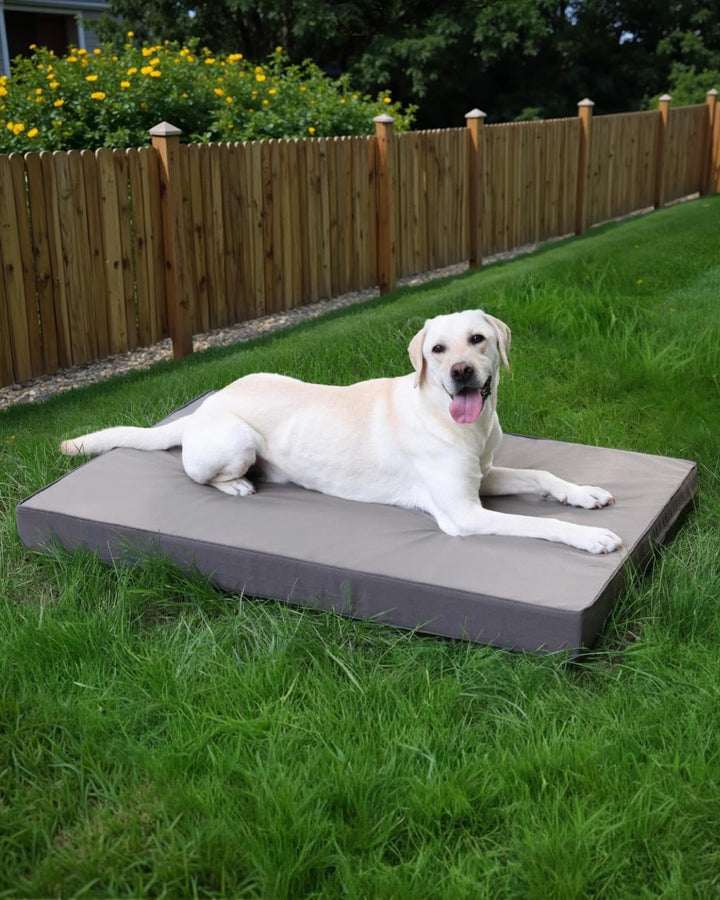 Orthopädisches Hundebett Kunstleder wasserdicht für grosse Hunde - Bild 8