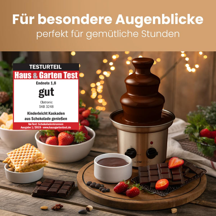 Schokobrunnen Edelstahl mit Schneckenwelle für Früchte &amp; Gebäck - Bild 2