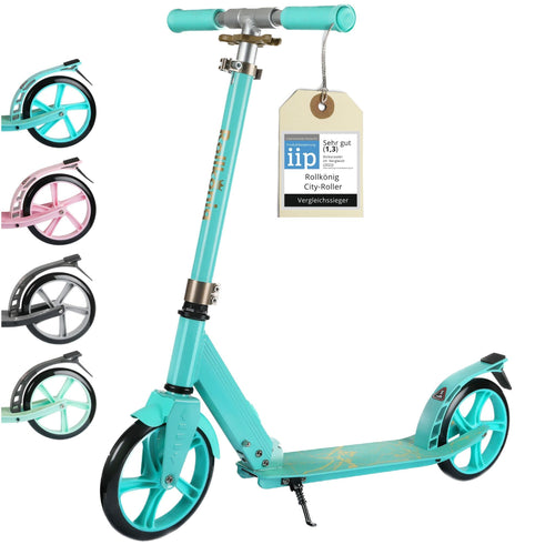 Faltbarer Kinderscooter mit grossen Rädern höhenverstellbar bis 100 kg