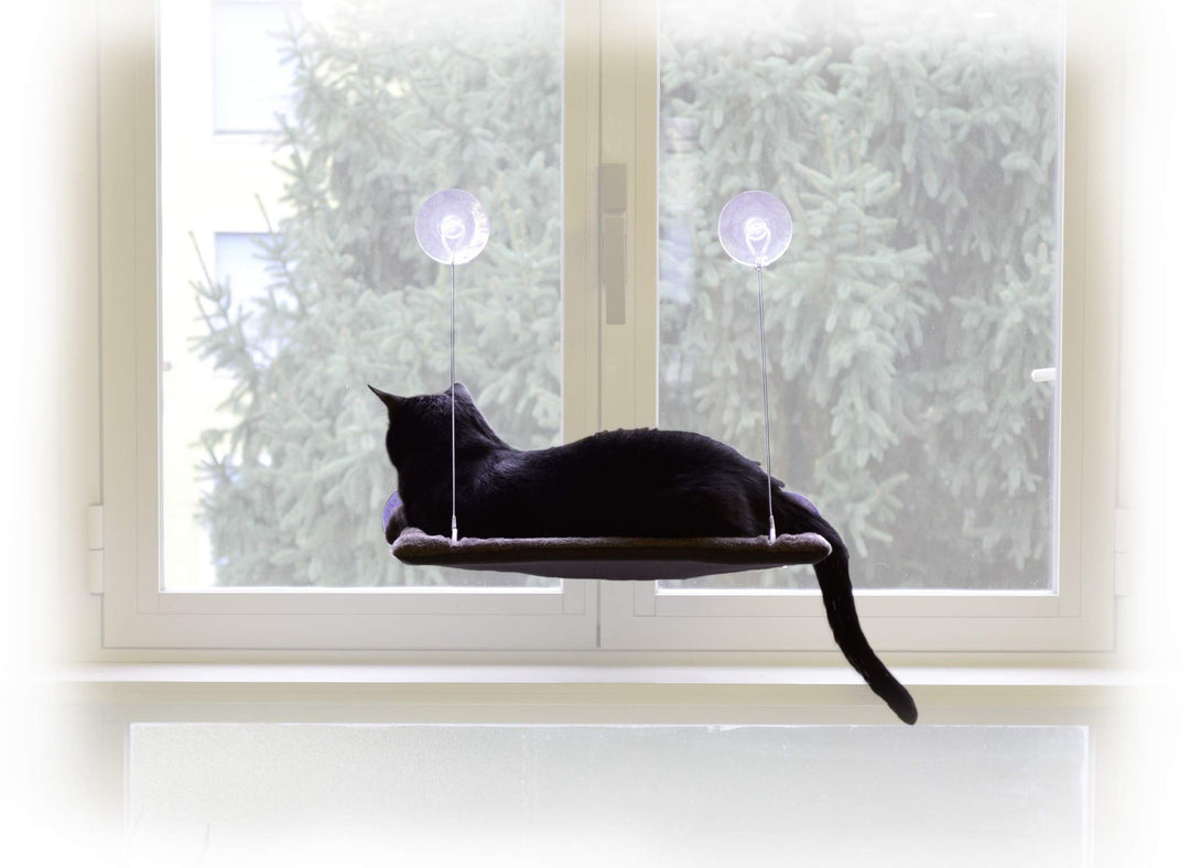 Katzen-Fensterliege mit Saugnäpfen wendbar 37x47 cm bis 20 kg - Bild 5