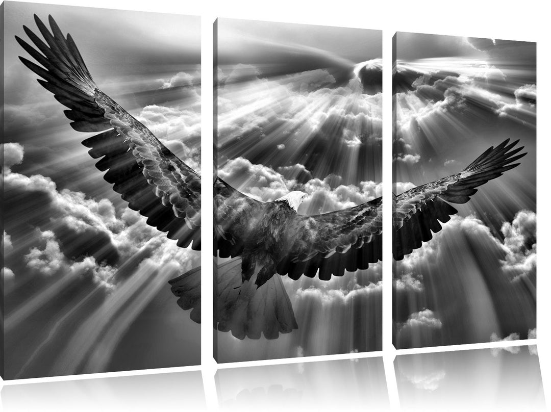 Leinwandbild Adler Wolken 3-teilig 120x80cm Echtholzrahmen