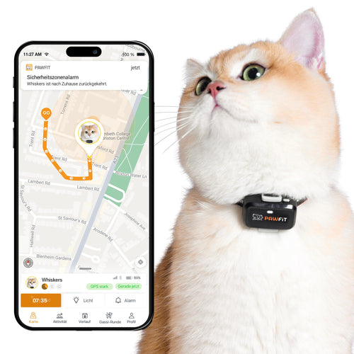 GPS-Tracker Katze 4G Echtzeit ultraleicht unter 18g mit Halsband