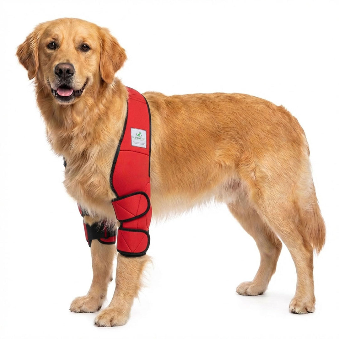 Ellenbogenbandage Hund Neopren 3mm mit Tasche für Kühl-/Wärmepad