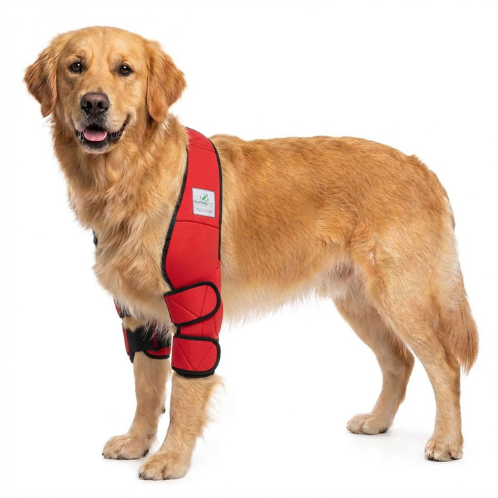 Ellenbogenbandage Hund Neopren 3mm mit Tasche für Kühl-/Wärmepad