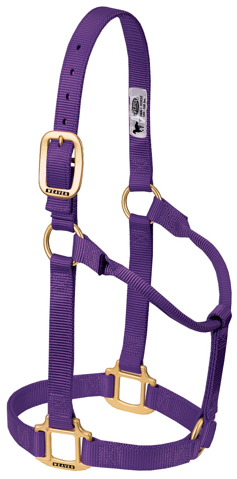 Pferde-Halfter Nylon 3-lagig Messing-Beschläge Grösse Small Lila