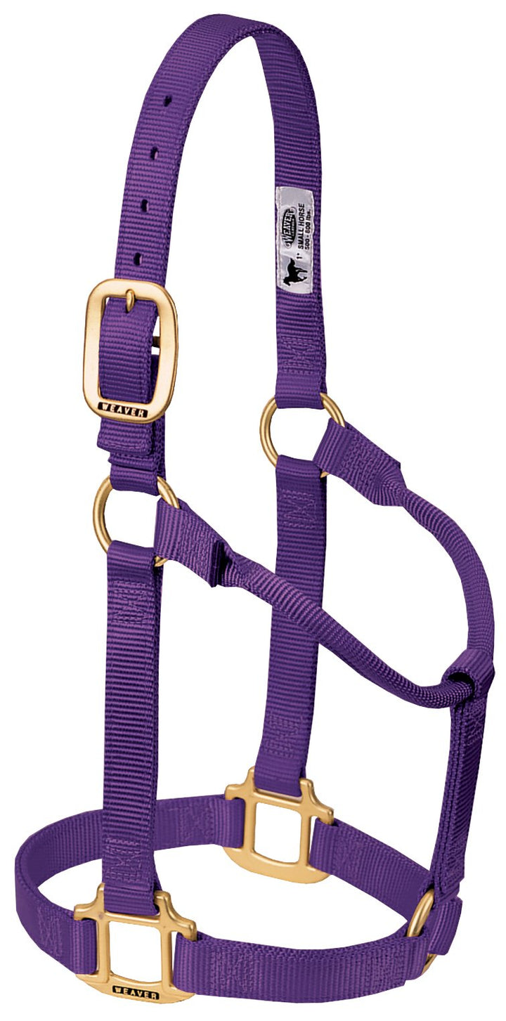 Pferde-Halfter Nylon 3-lagig Messing-Beschläge Grösse Small Lila