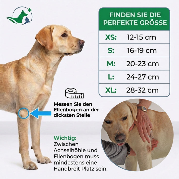 Ellenbogenbandage Hund Neopren 3mm mit Tasche für Kühl-/Wärmepad - Bild 4
