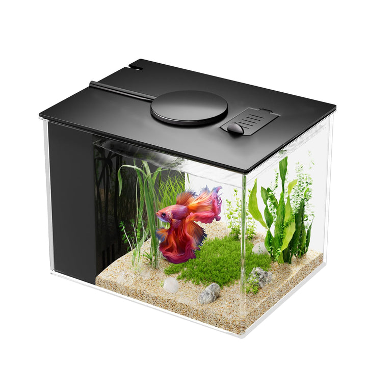 Mini Aquarium 3,7 L Acryl mit Filter und LED-Beleuchtung, Schwarz