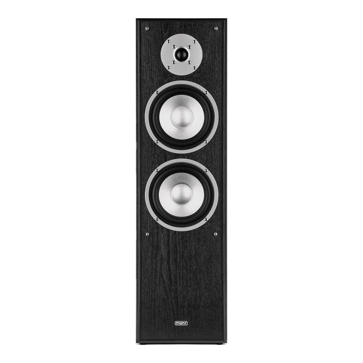 Standlautsprecher 2-Wege HiFi Paar 38Hz–21kHz Bassreflex schwarz - Bild 2