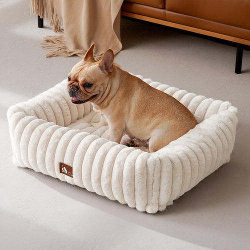 Hundesofa Memory-Schaum 4-seitig waschbar 64x53cm Beige