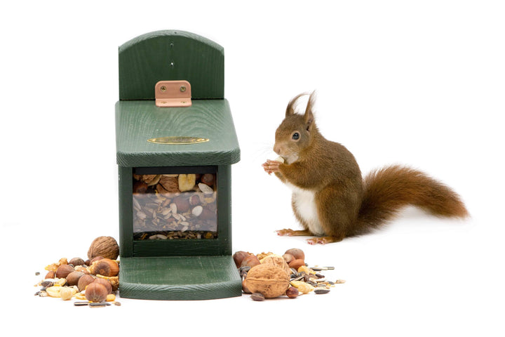 Eichhörnchenfutter mit Walnüssen &amp; Haselnüssen in Schale 5 kg - Bild 9