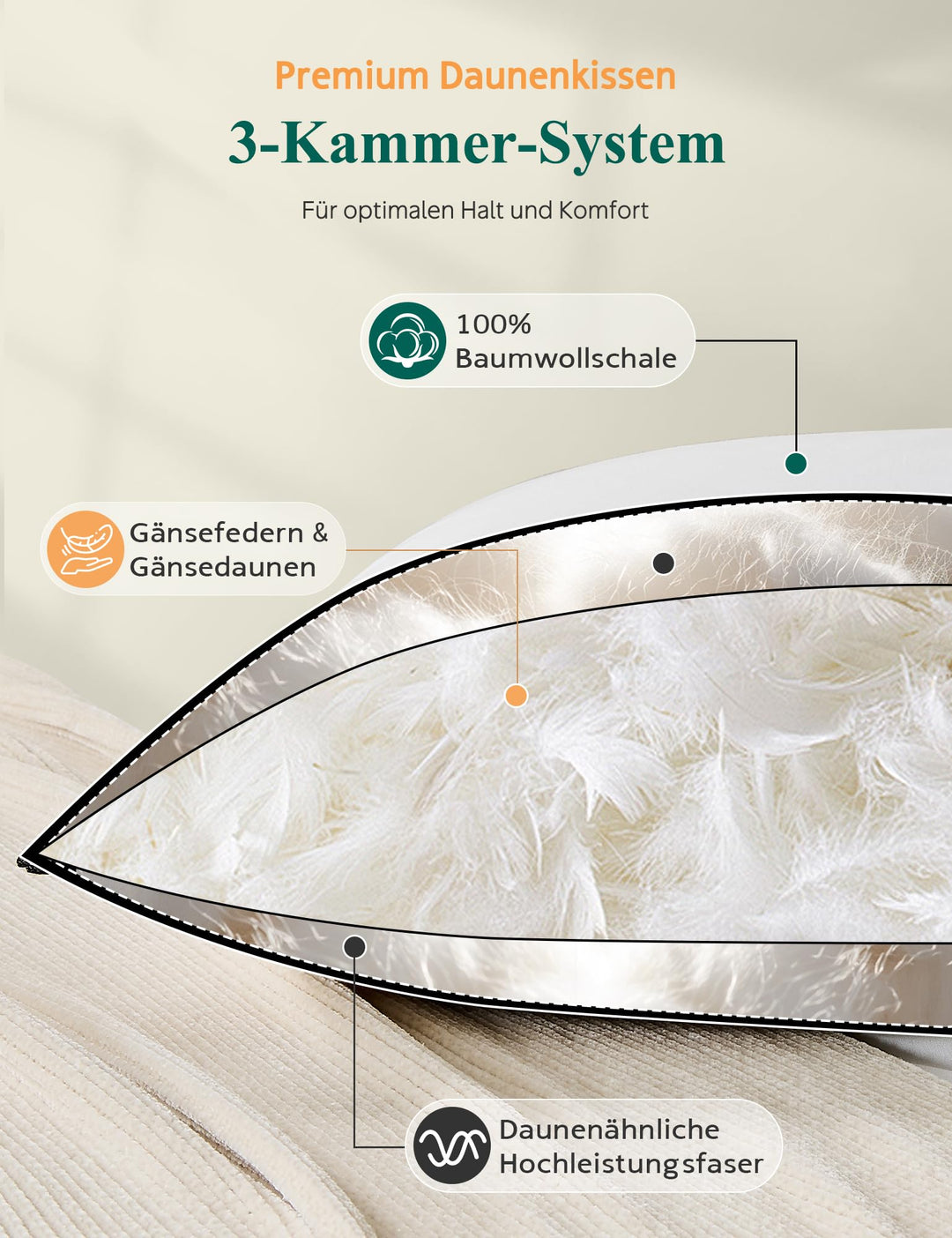 Daunenkissen 40x80 3-Kammer mit Bio-Baumwollbezug 2er-Set - Bild 4