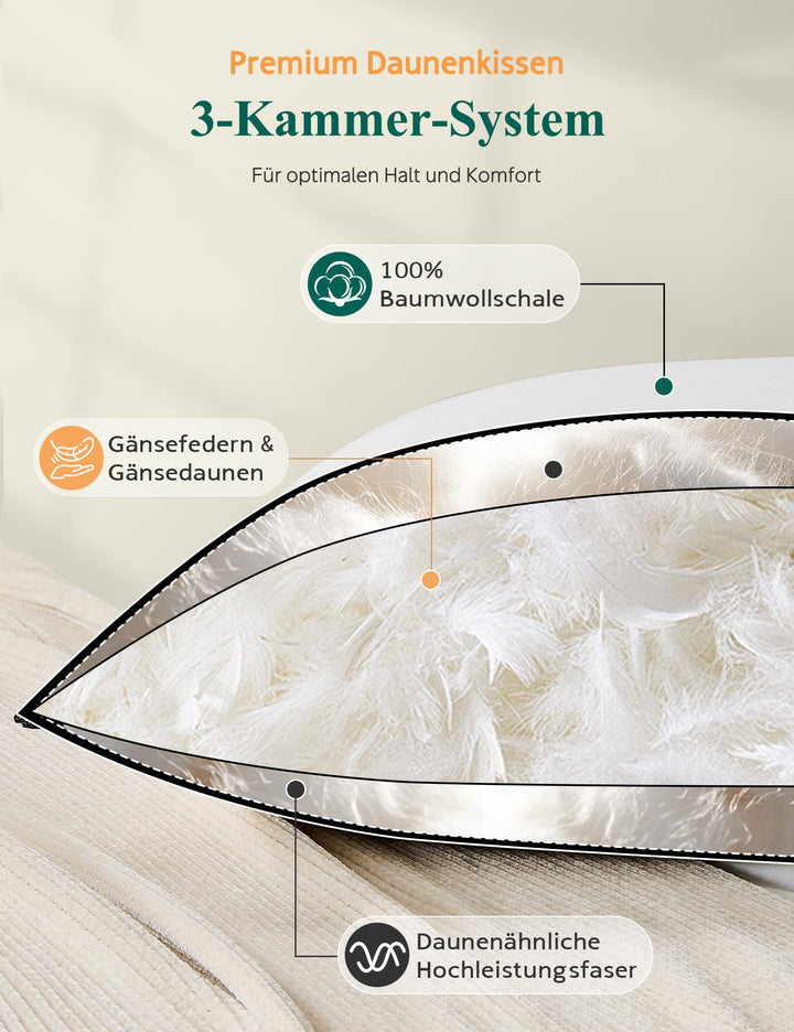 Daunenkissen 40x80 3-Kammer mit Bio-Baumwollbezug 2er-Set - Bild 4