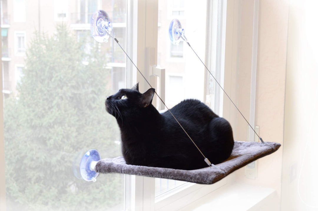 Katzen-Fensterliege mit Saugnäpfen wendbar 37x47 cm bis 20 kg - Bild 4