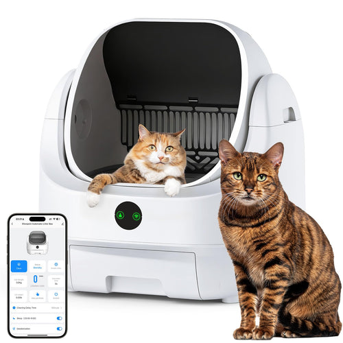 Elektrische Katzentoilette Selbstreinigend Offen mit App-Steuerung