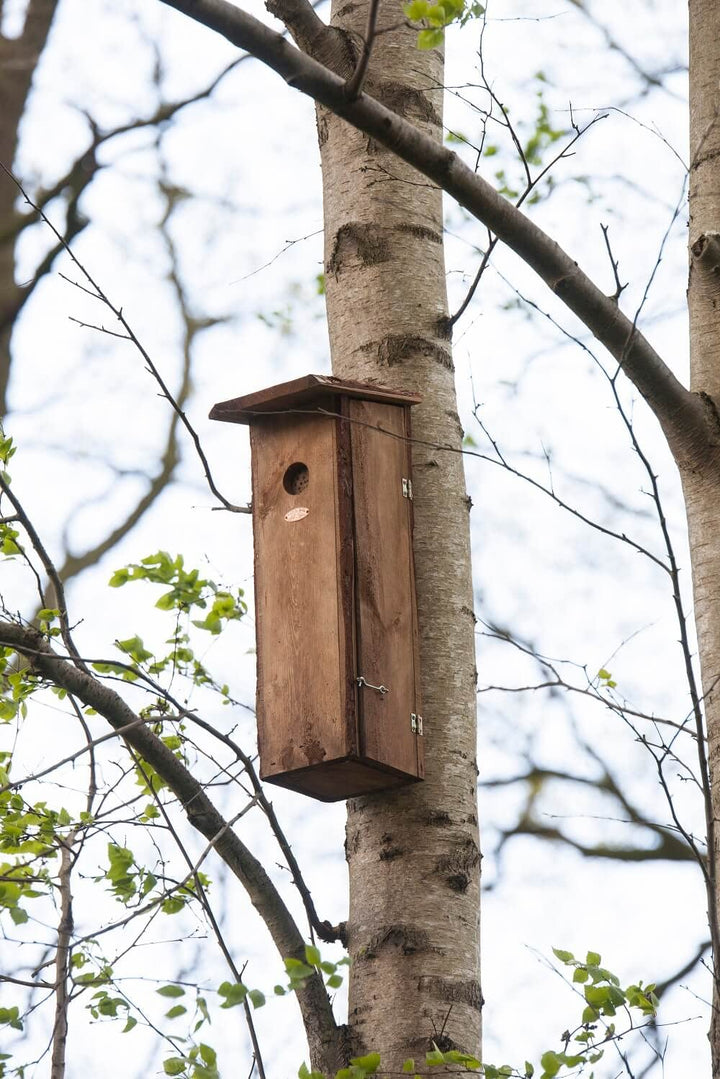 Nistkasten Buntspecht FSC Kiefernholz mit verschlossener Einflugöffnung - Bild 5