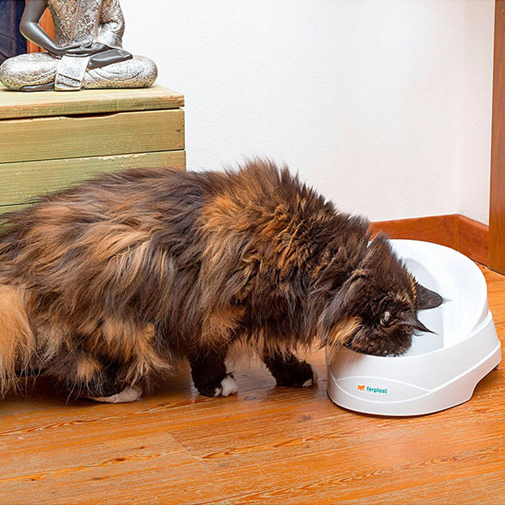 Katzenbrunnen mit Aktivkohlefilter 2 Liter für Katzen und kleine Hunde - Bild 5