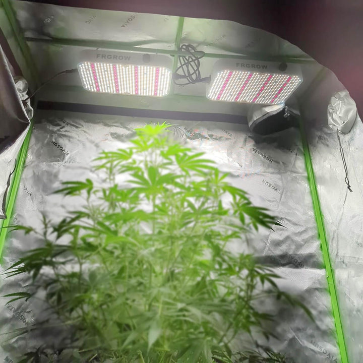 LED Grow Light Vollspektrum 65W dimmbar 6000 Lumen für 60x60cm Zelt - Bild 4