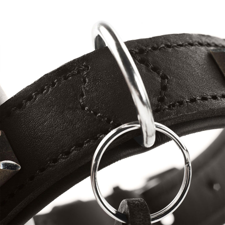 Hundehalsband Leder skandinavisch 36–46 cm verstellbar Gr. 55 - Bild 4