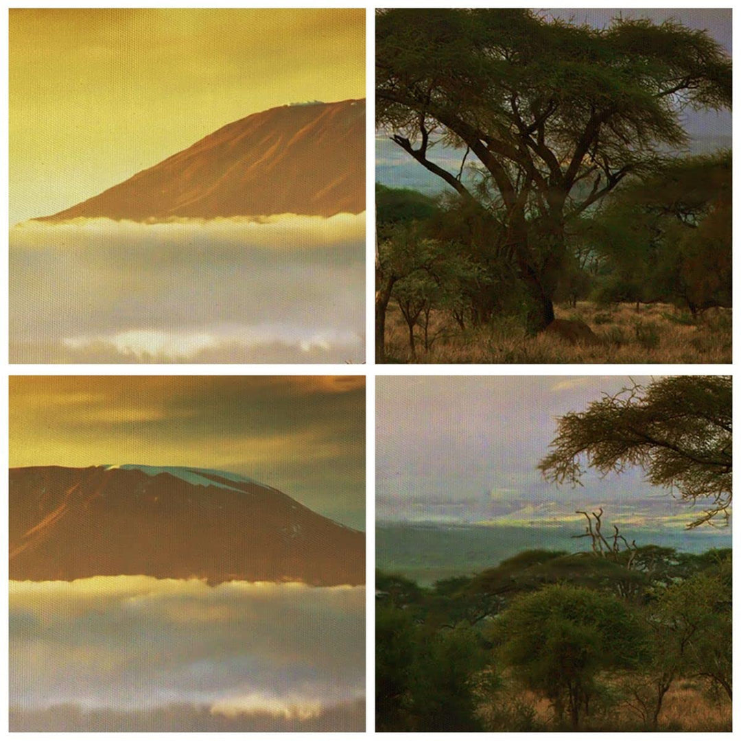 Leinwandbild Landschaft &amp; Natur 120x50cm aufhängefertig - Bild 5
