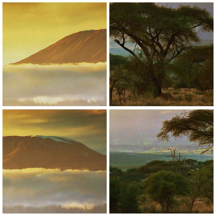 Leinwandbild Landschaft &amp; Natur 120x50cm aufhängefertig - Bild 5