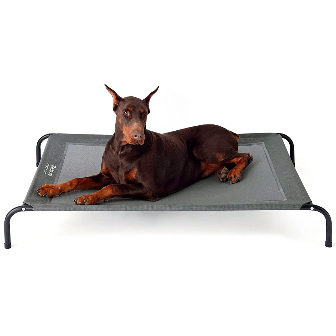Hundeliege erhöht Outdoor Grau 124x80 cm bis 38 kg